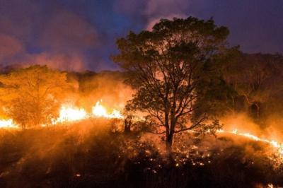 MS decreta situação de emergência em cidades atingidas pelos incêndios no Pantanal