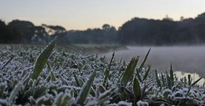 Paraná tem previsão da primeira geada do inverno 2024 para 31 cidades