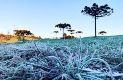 Cidades do Paraná registram geada e temperaturas negativas, afirma Simepar