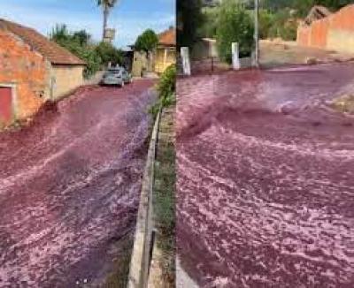 'rio' de vinho inunda ruas de cidade em Portugal após depósito estourar