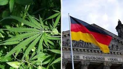 Alemanha legaliza o consumo recreativo da maconha a partir desta segunda (1º)